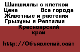 Шиншиллы с клеткой › Цена ­ 8 000 - Все города Животные и растения » Грызуны и Рептилии   . Красноярский край